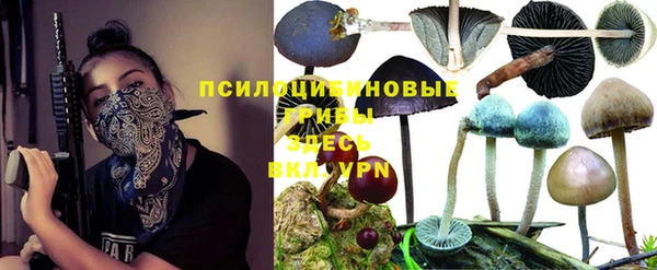 прущая мука Киреевск