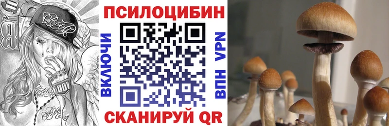 Галлюциногенные грибы мухоморы  Красноярск 